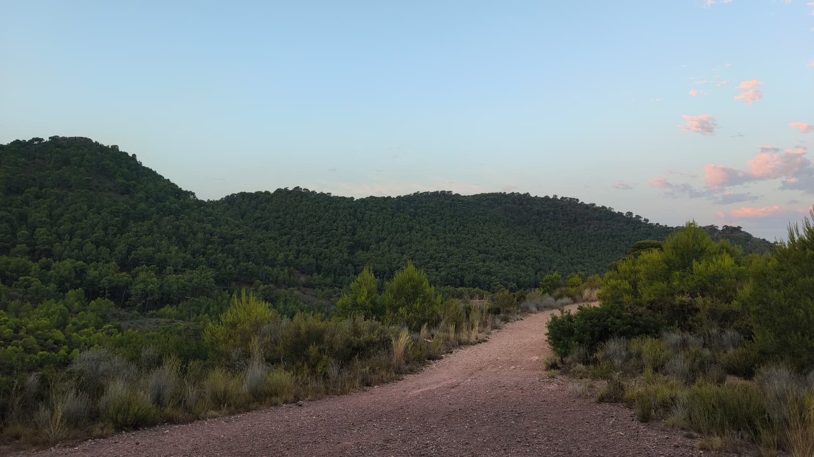 Camino de tierra entre vegetación mediterránea en el entorno de la PR-CV 329