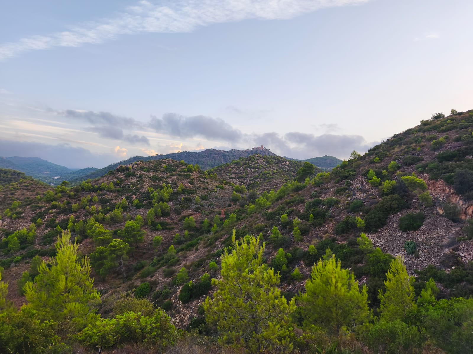Panorámica de lomas, pinar y relieve mediterráneo